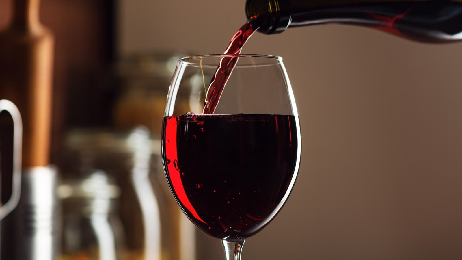 Wine & Vineyard
Experiences